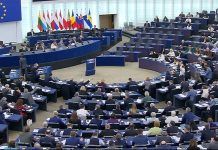 NGT vote: “a step back for biodiversity that nonetheless safeguards traceability and national coexistence measures” NGT vote