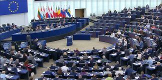 NGT vote: “a step back for biodiversity that nonetheless safeguards traceability and national coexistence measures” NGT vote