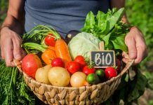 Time for organic to become the conventional practice Time for organic