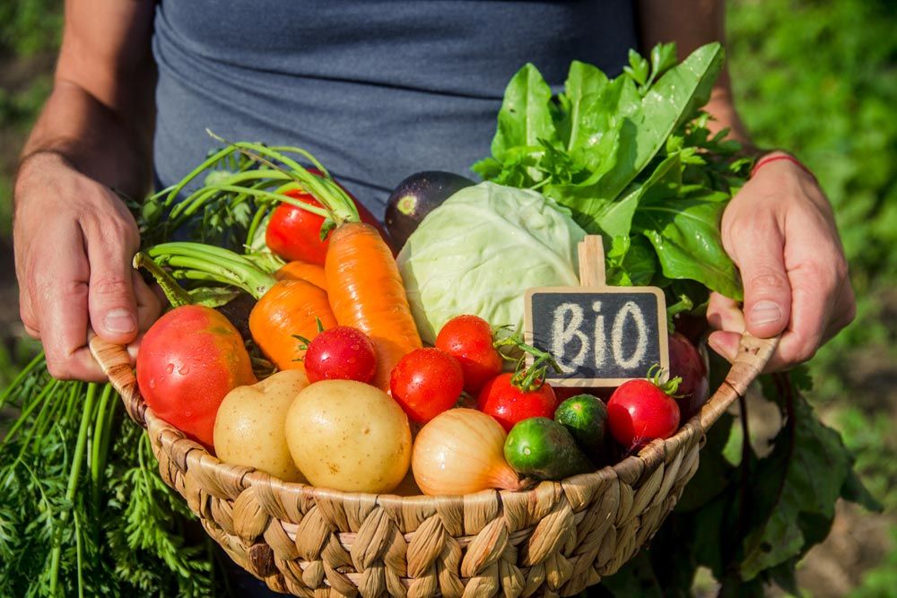 Time for organic