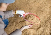 Productes ecològics: locals, europeus o importats? Productos ecológicos