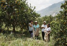 Discover the fresh face of Tradin Organic