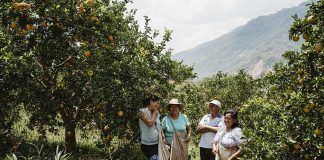 Discover the fresh face of Tradin Organic