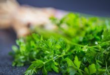 Cilantro vs Perejil. Diferencias entre estas dos hierbas aromáticas Perejil