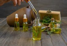 Los aceites esenciales y su importancia en el ecosistema Los aceites esenciales