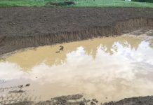 Cómo la hidrología del suelo condiciona la agricultura hidrología del suelo