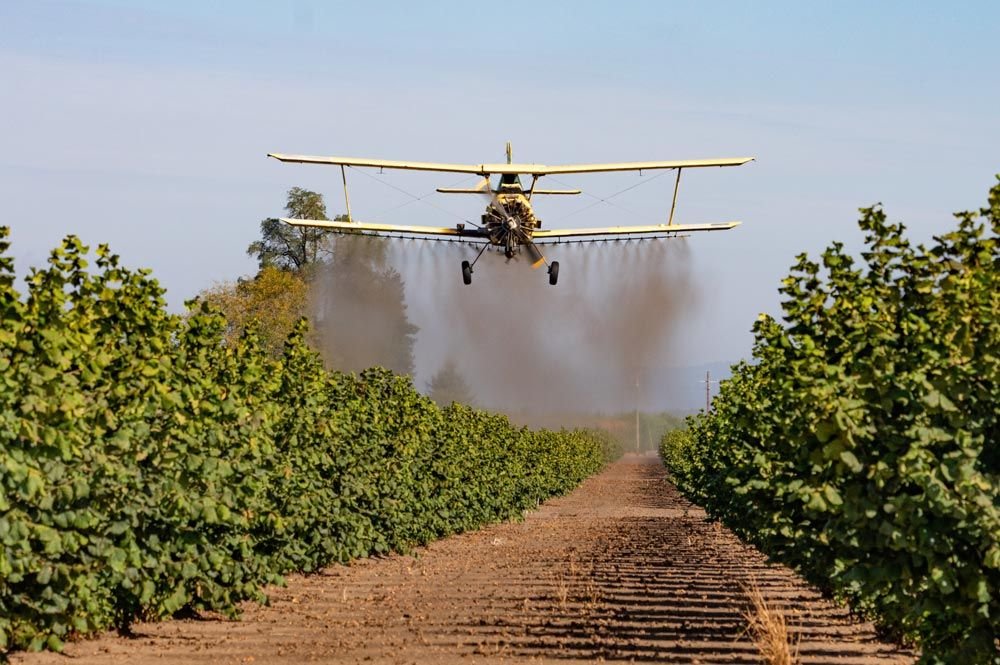 pesticides