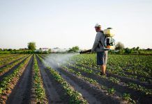 La falta de transparencia en el uso de pesticidas: desafío para la salud y el medio ambiente pesticidas