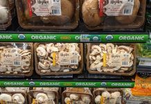 Estats Units, el mercat d’aliments ecològics més gran del món Estados Unidos
