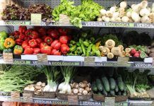 L’alimentació ecològica i la seva influència en la salut alimentación ecológica salud