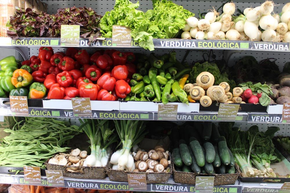 alimentación ecológica salud