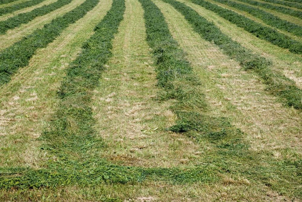 Agricultura biodinámica