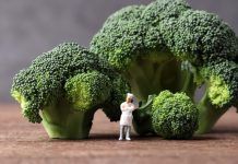 El bròquil, un vegetal multifacètic brócoli