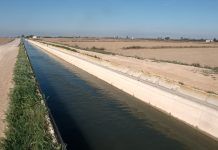 Aigua i agricultura: pràctiques responsables per a la gestió hídrica aigua