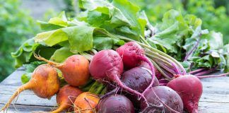 Progress for organic plant breeding and agrobiodiversity