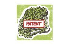 Recurso contra la resolución sobre la patente de la lechuga lettuce patent