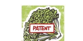 Appeal against the decision made on the lettuce patent lettuce patent