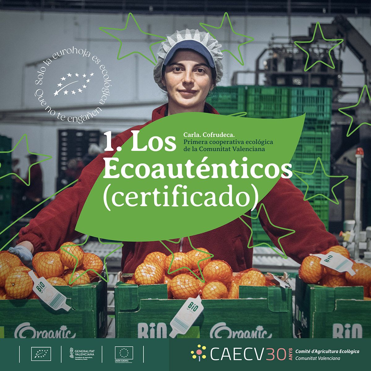 «Los Ecoauténticos»