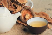 Reishi, el fong de la longevitat Reishi
