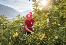 Manzanas ecológicas VIP: primicia en Organic Food Iberia VIP