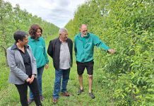 La producció agrària ecològica a Catalunya torna a sumar rècords històrics producció agrària ecològica
