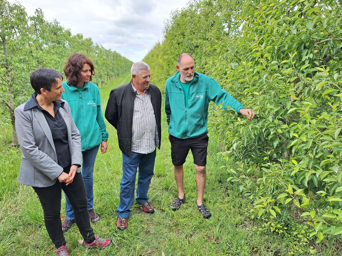 Catalunya producció agrària ecològica