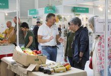 Ferias ecológicas en España: los eventos imprescindibles
