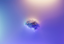 Conoce el Brain Care de HSN para la salud del cerebro Brain Care