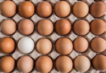 Ecovalia y ASOBIO desmienten afirmaciones erróneas sobre los huevos ecológicos publicadas por la OCU y piden rectificaciones Ecovalia y ASOBIO