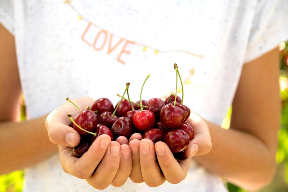 frutas y verduras ecológicas de temporada