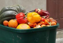 El consum de fruita i verdura ecològica redueix el malbaratament alimentari global desperdicio alimentario