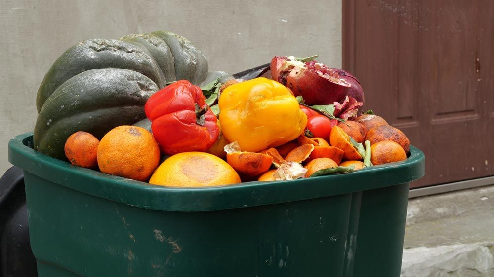 malbaratament alimentari