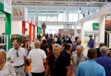 SANA restarts with SANA Food: scheduled at BolognaFiere from 23 to 25 February 2025 a new format for Horeca and specialised retail SANA Food