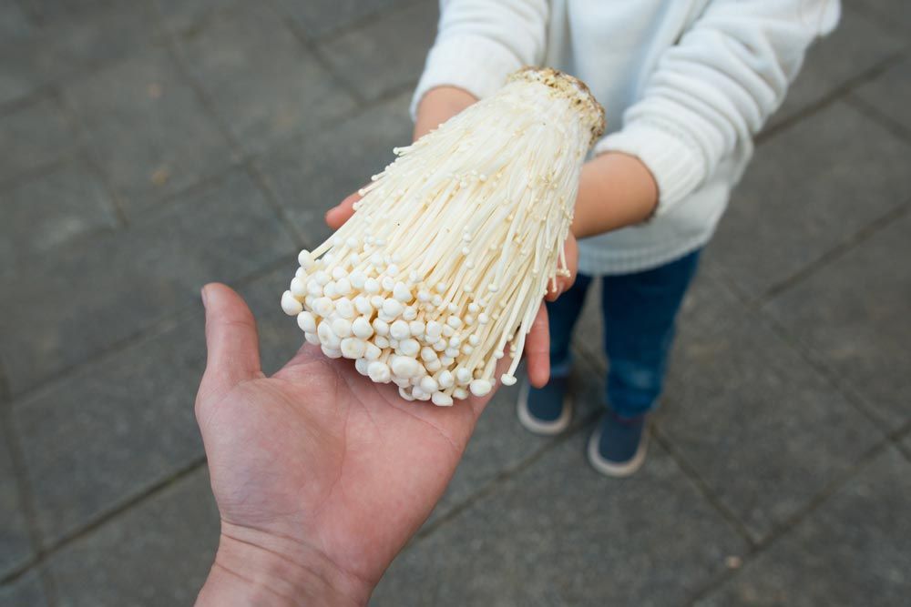 Bolets ecològics