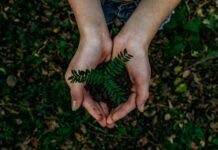 Como Empresas de Sectores Tecnológicos Reducen Su Impacto Climático Negativo medio ambiente