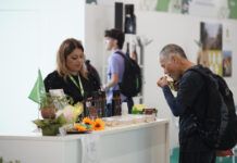 SANA Food: the 100 Healthy Days Survey is born, a journey into wellness SANA Food