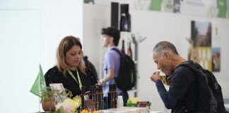 SANA Food: the 100 Healthy Days Survey is born, a journey into wellness SANA Food