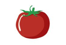 ¿Se pueden inventar los tomates? Las patentes amenazan el acceso a las semillas tomato