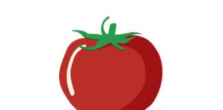 Can you invent a tomato? Patents threaten access to seeds tomato