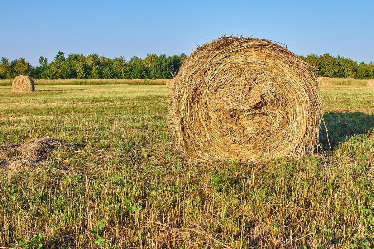 economia circular