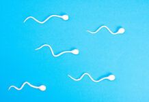 Detecten per primera vegada glifosat a l’esperma esperma