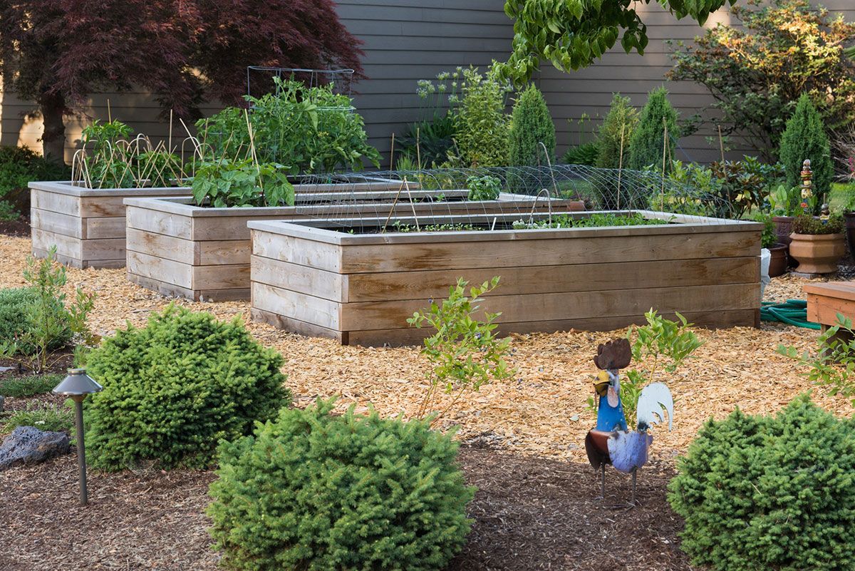 educació ambiental