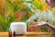Aceites esenciales para el otoño y el invierno: una inversión de autocuidado Aceites esenciales otoño invierno