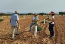 Puesta en marcha de la Red de “Fincas Faro” y “Fincas Piloto” para el impulso de la agricultura ecológica en el Mar Menor cultiveco