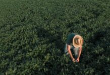 Strategic Dialogue – Organic is a leading choice for transitioning to sustainable agri-food systems