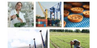 New handbook on contaminations in organic products handbook