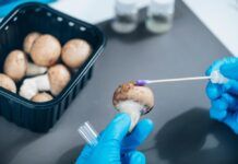 Seguridad y certificación de calidad de los productos con hongos hongos