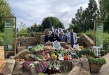 La IX Feria Navarra Ecológica celebrará su novena edición con más puestos y actividades que nunca