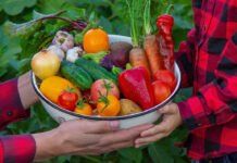 El sabor ecològic de veritat sabor ecológico