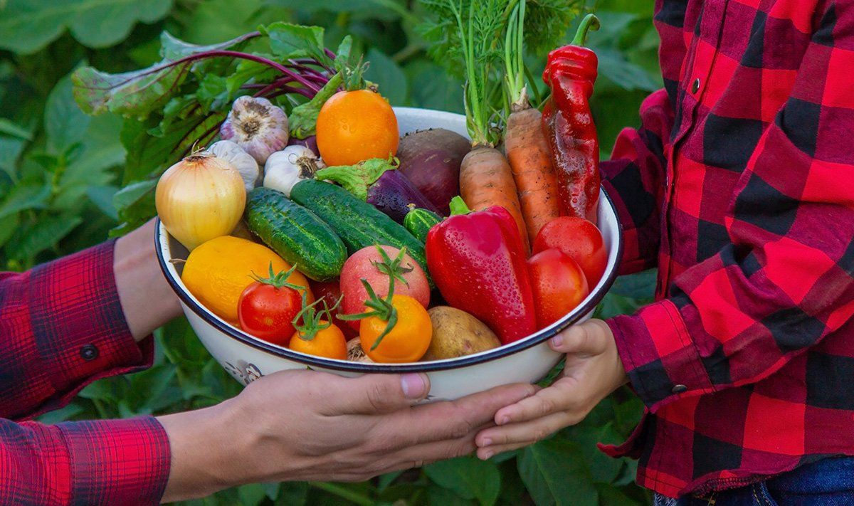  sabor ecológico